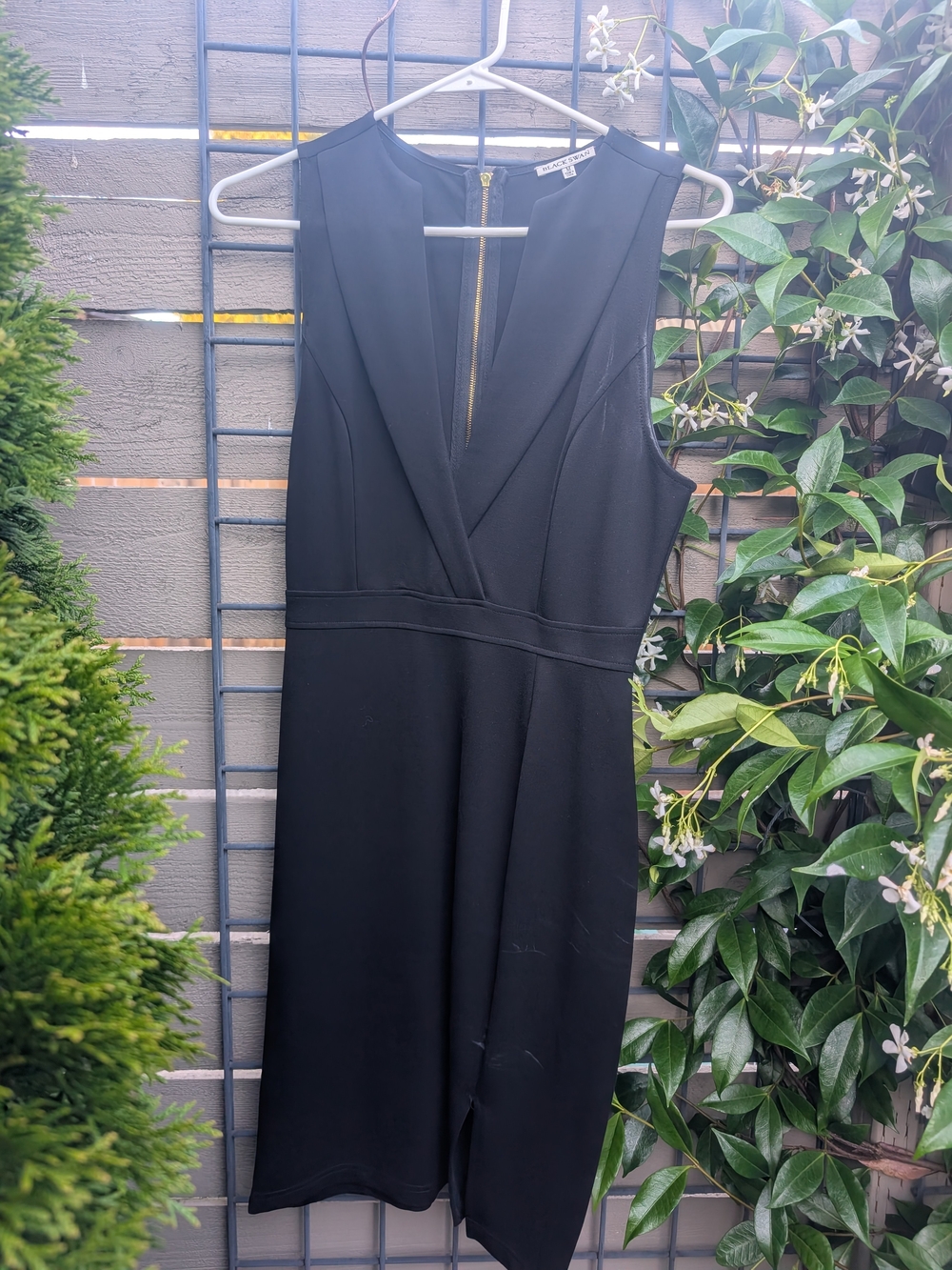 Black Swan Black Sleeveless Midi Dress with V-Detail